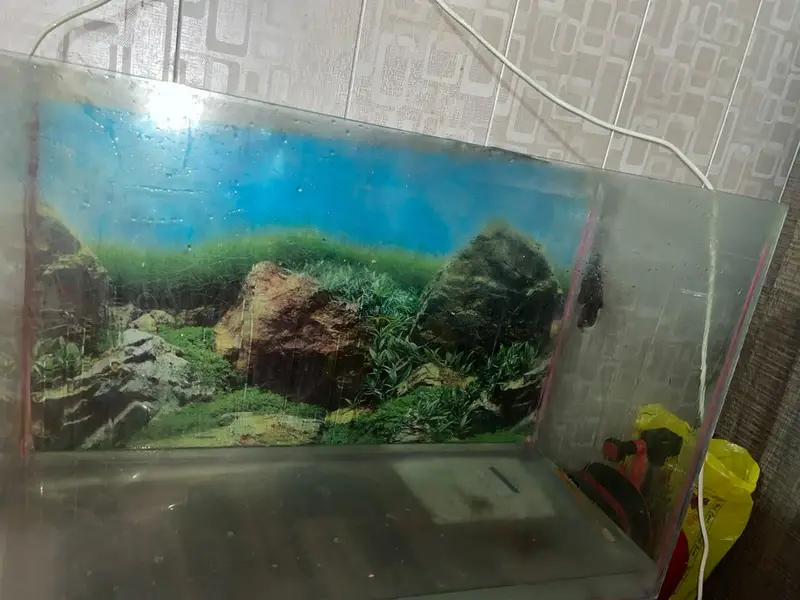 3 ft tank for sale — photo 12