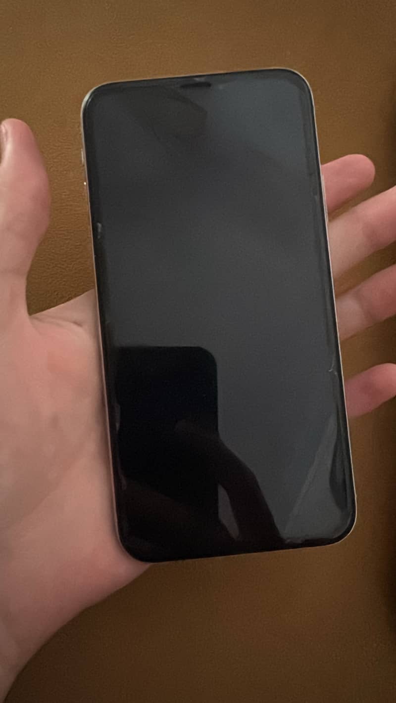 Apple iPhone XS 1