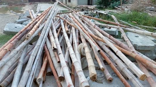 Bamboo Poles بانس