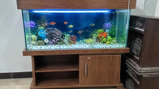 *Big Aquarium with Wooden Cabinet | Large Fish Tank | Aquarium Stand*