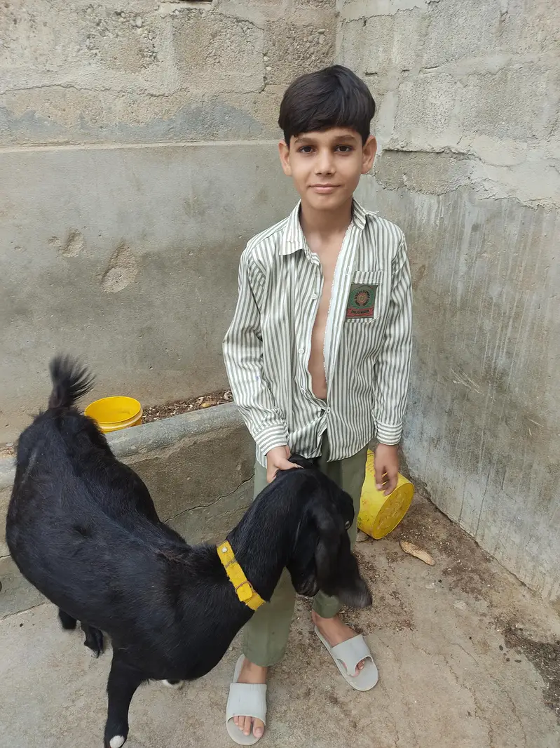 Black Desi Bakri for sale — photo 9