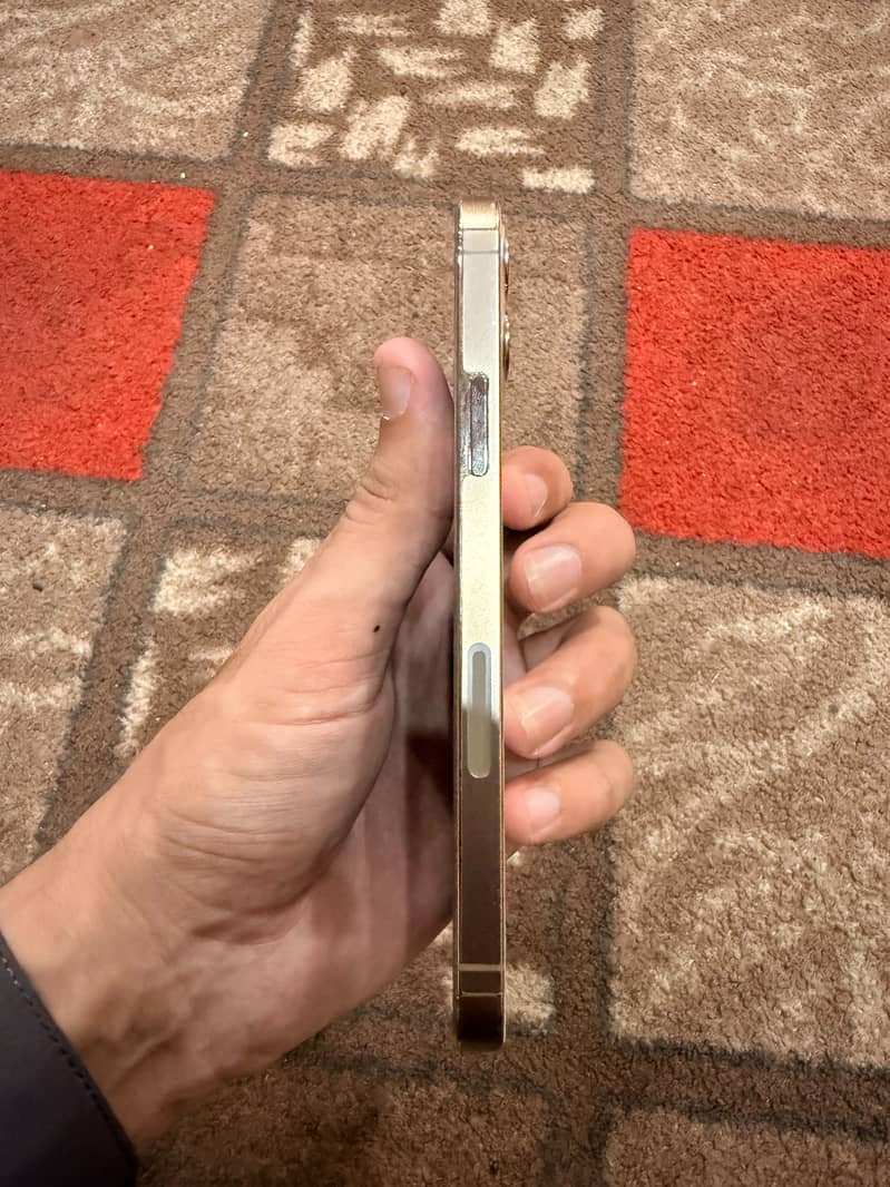 Apple iPhone 12 Pro 3