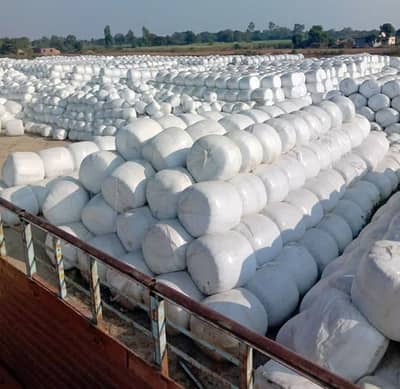 Silage Bales for Sale , Premium Animal Feed for Dairy Cattle