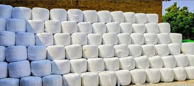 High Quality Wrapped Silage Bales for Cattle & Dairy Farms