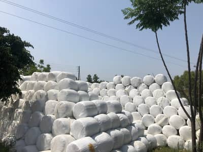 Premium Quality Silage Bales for Dairy Farms & Livestock Feed