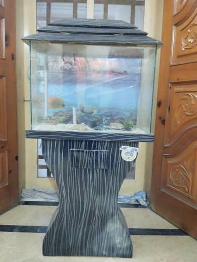 Fish Aquarium