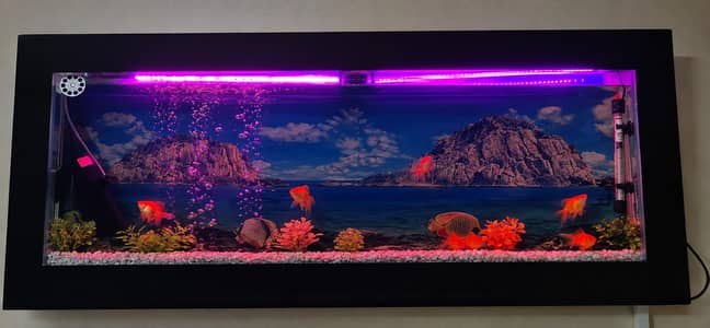Complete Aquarium Setup for Sale