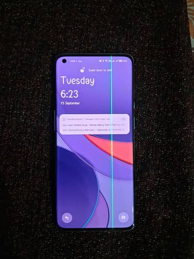 One Plus 9 Pro