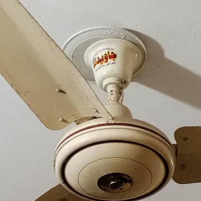 Ceiling Fan