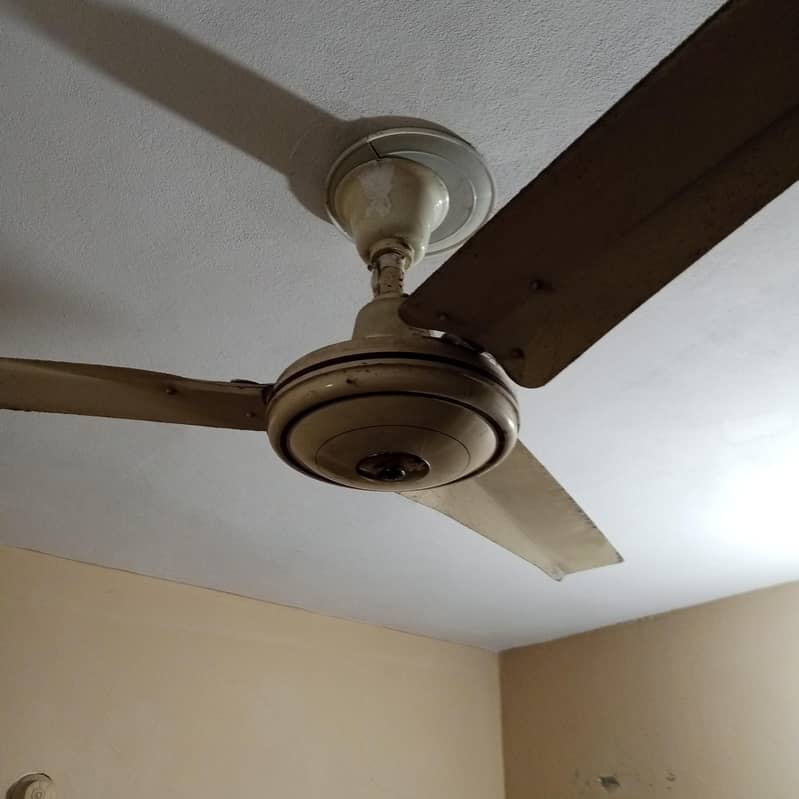 Ceiling Fan 1