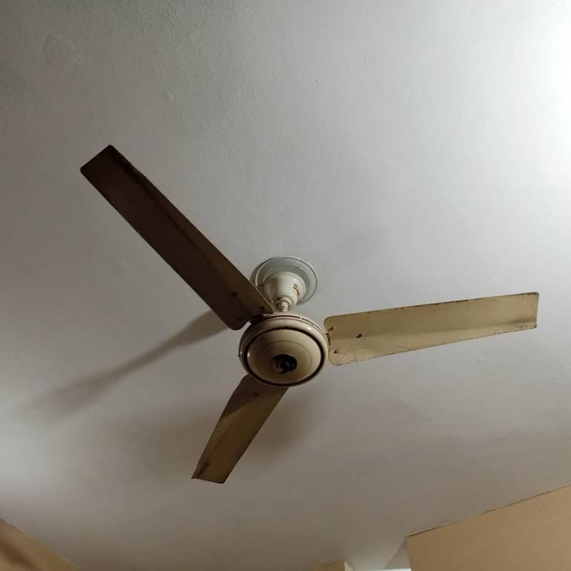 Ceiling Fan 2