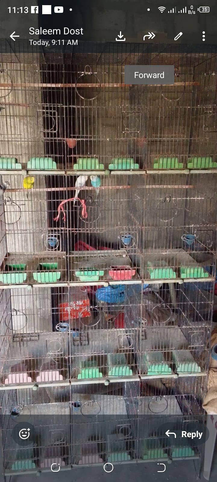 12 Portion Cage 0