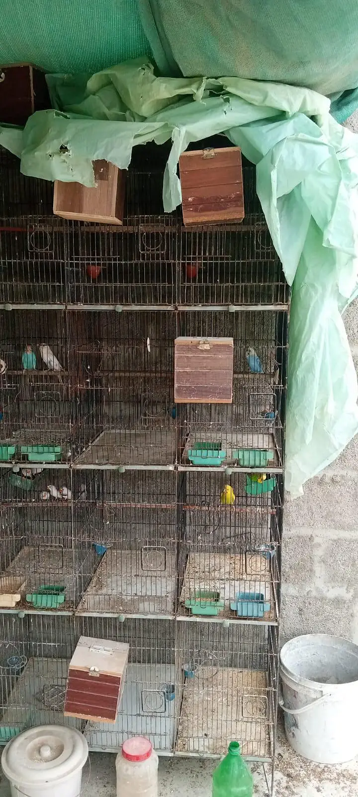 12 Portion Cage — photo 2