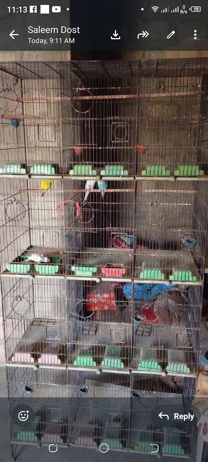 12 Portion Cage 2