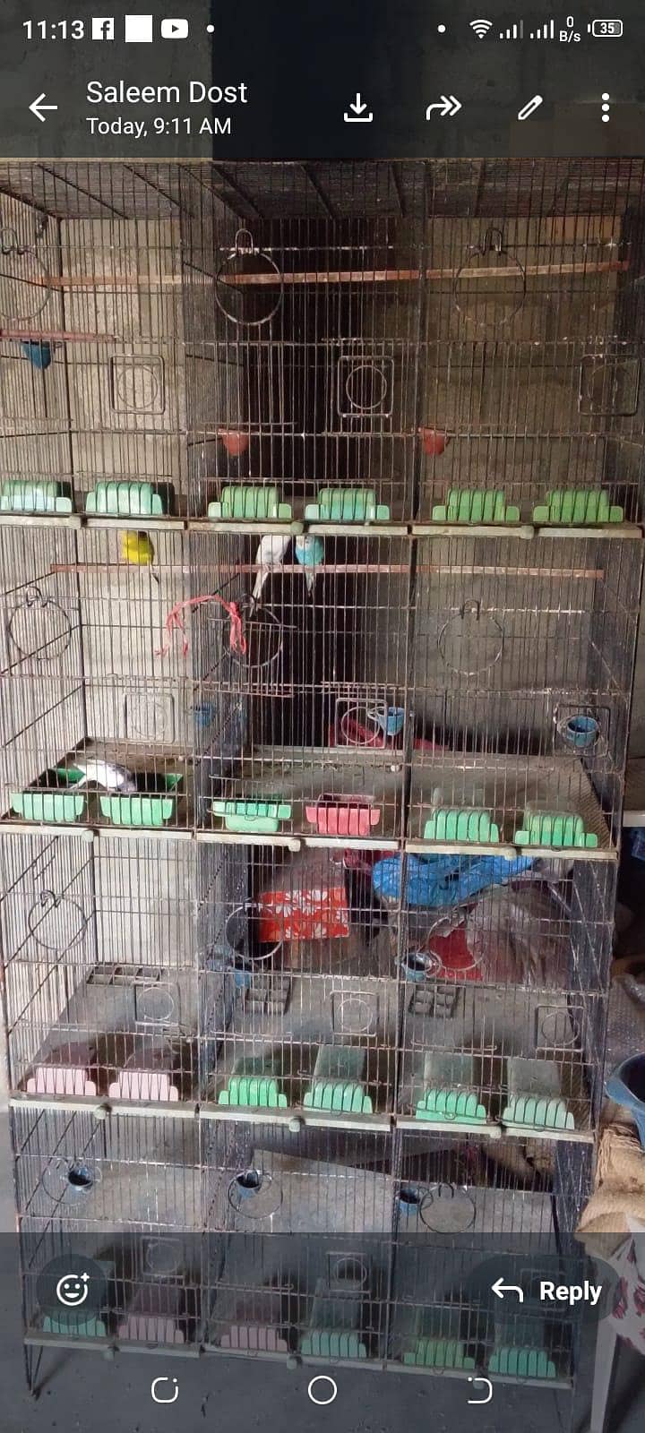 12 Portion Cage 3