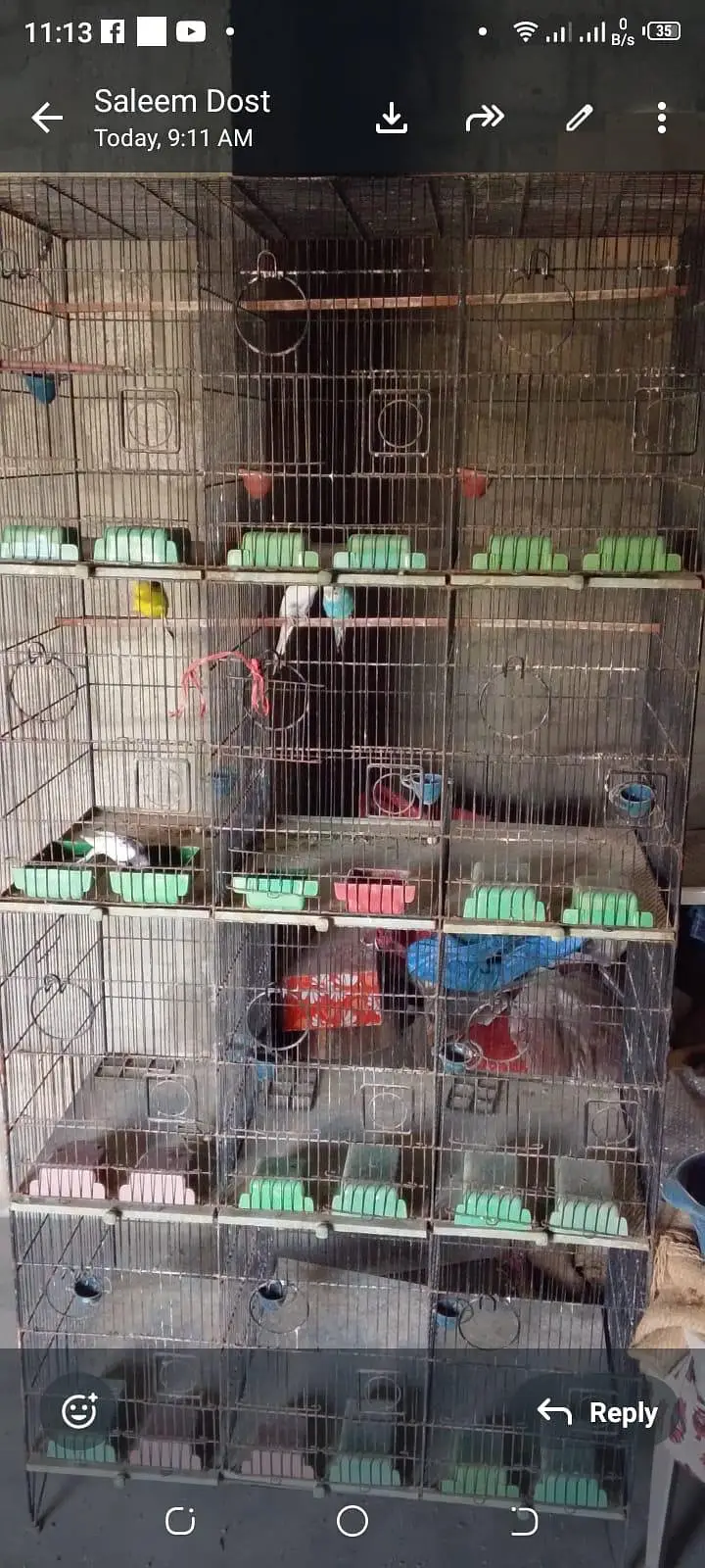 12 Portion Cage — photo 4