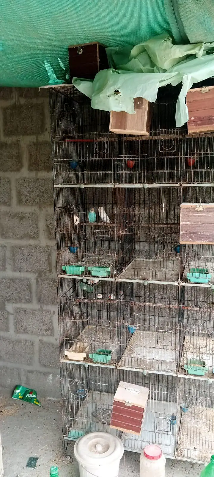 12 Portion Cage — photo 5