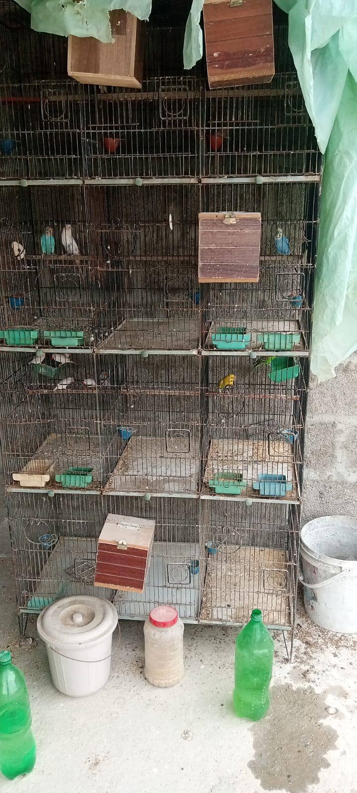 12 Portion Cage 5