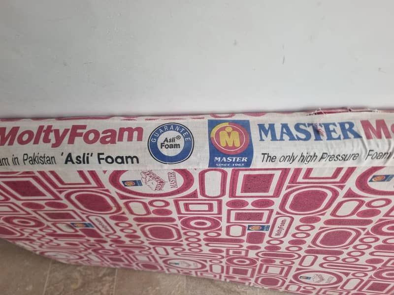 master molty foam 1