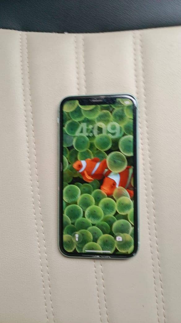 Apple iPhone 11 4