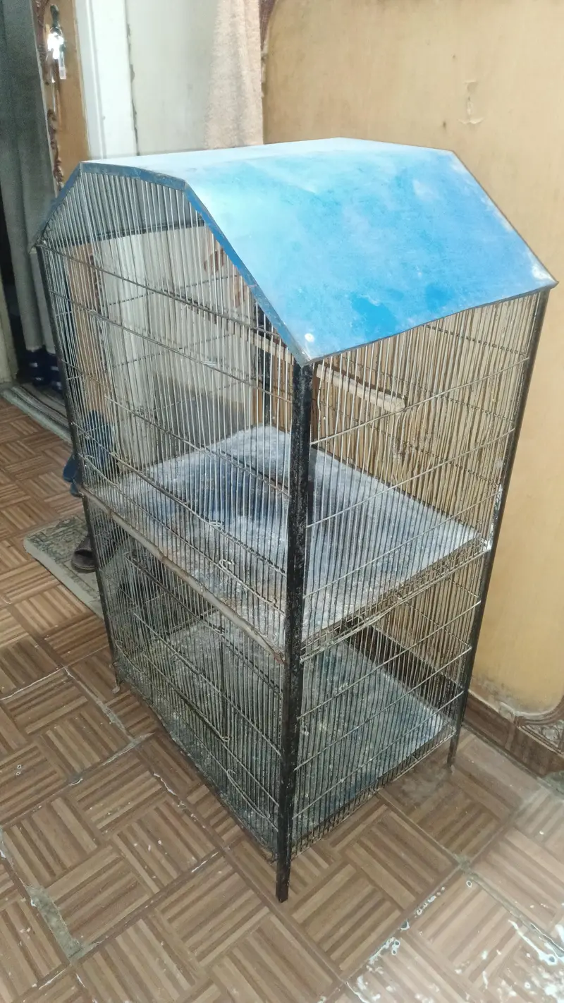 Two Portions Cage (8/10) — photo 2