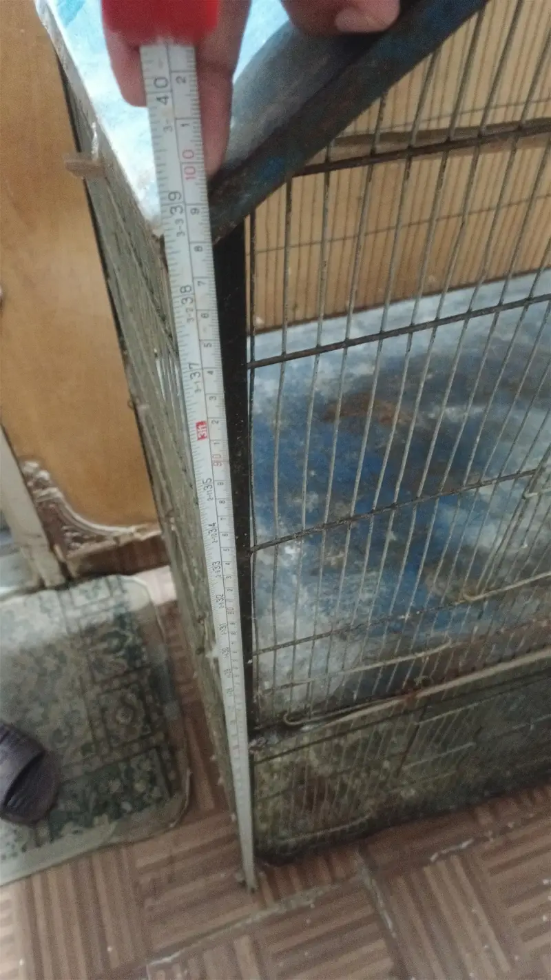 Two Portions Cage (8/10) — photo 3