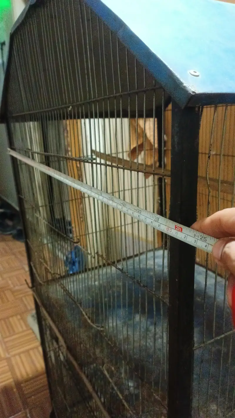 Two Portions Cage (8/10) — photo 4