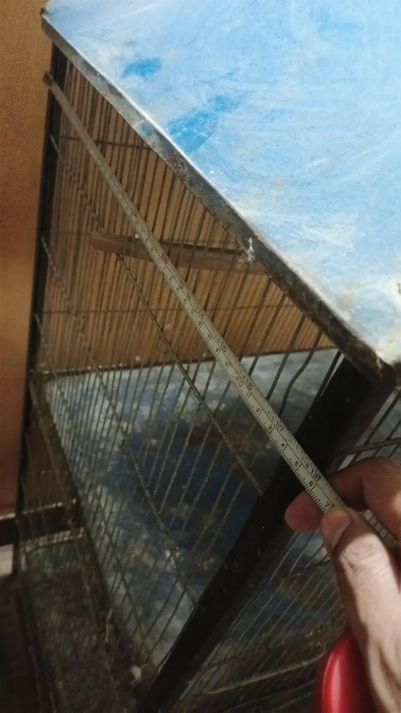 Two Portions Cage (8/10) — photo 5