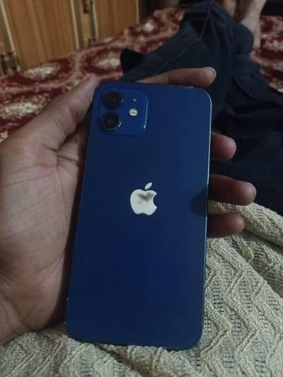 Apple iPhone 12