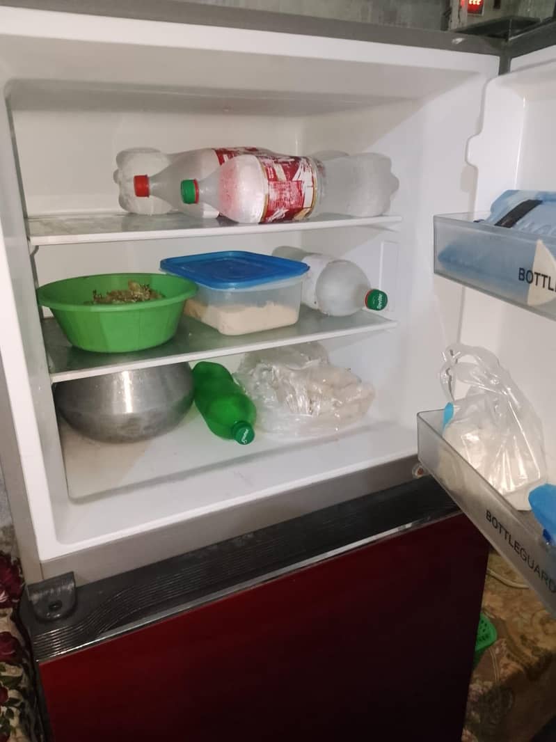 laarg siE fridge 2