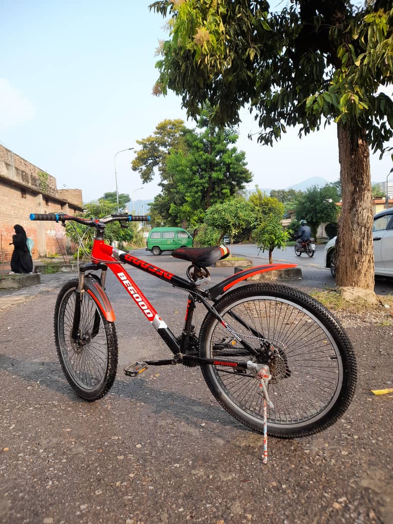 BeGood Wolf Bicycle 2