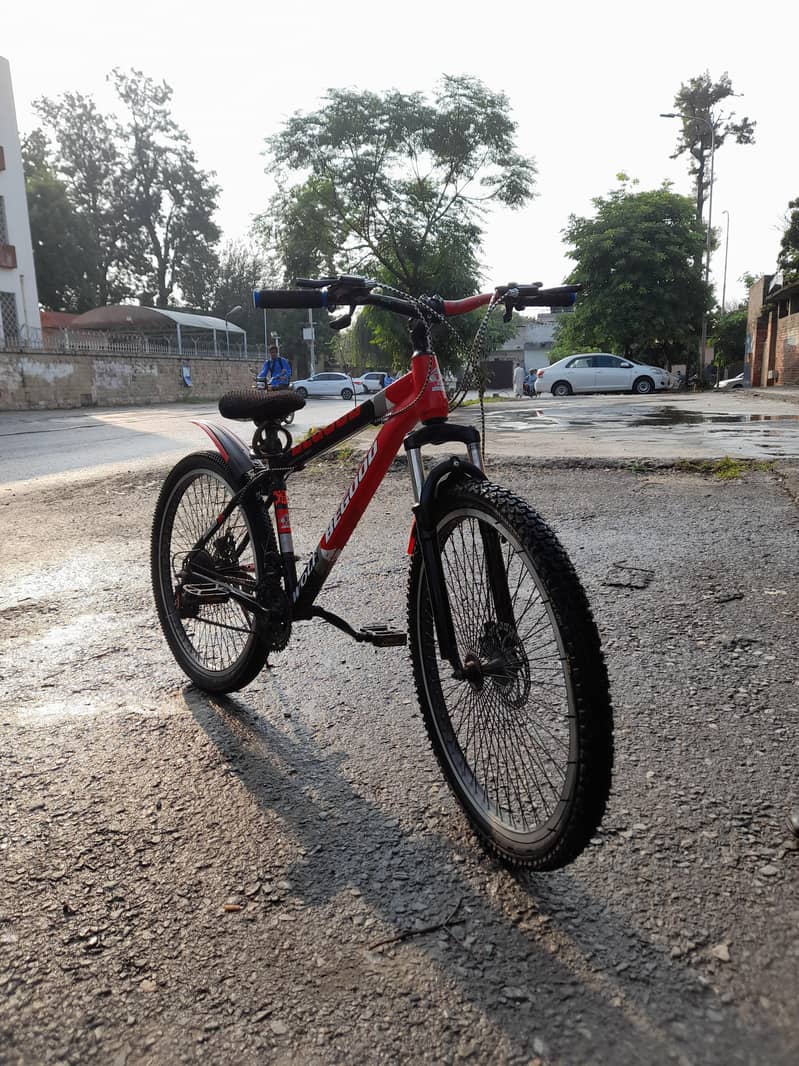 BeGood Wolf Bicycle 3
