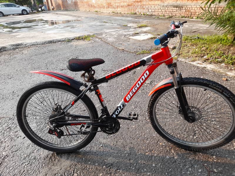 BeGood Wolf Bicycle 4