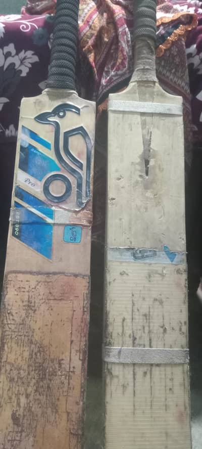 two bats and knocking hard balls available