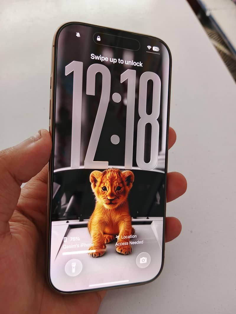 Apple iPhone 16 Pro 1