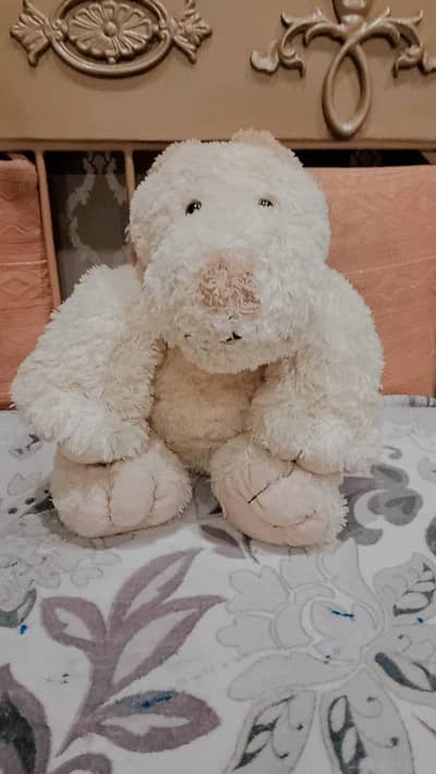 Cute Soft Brown Teddy Bear.