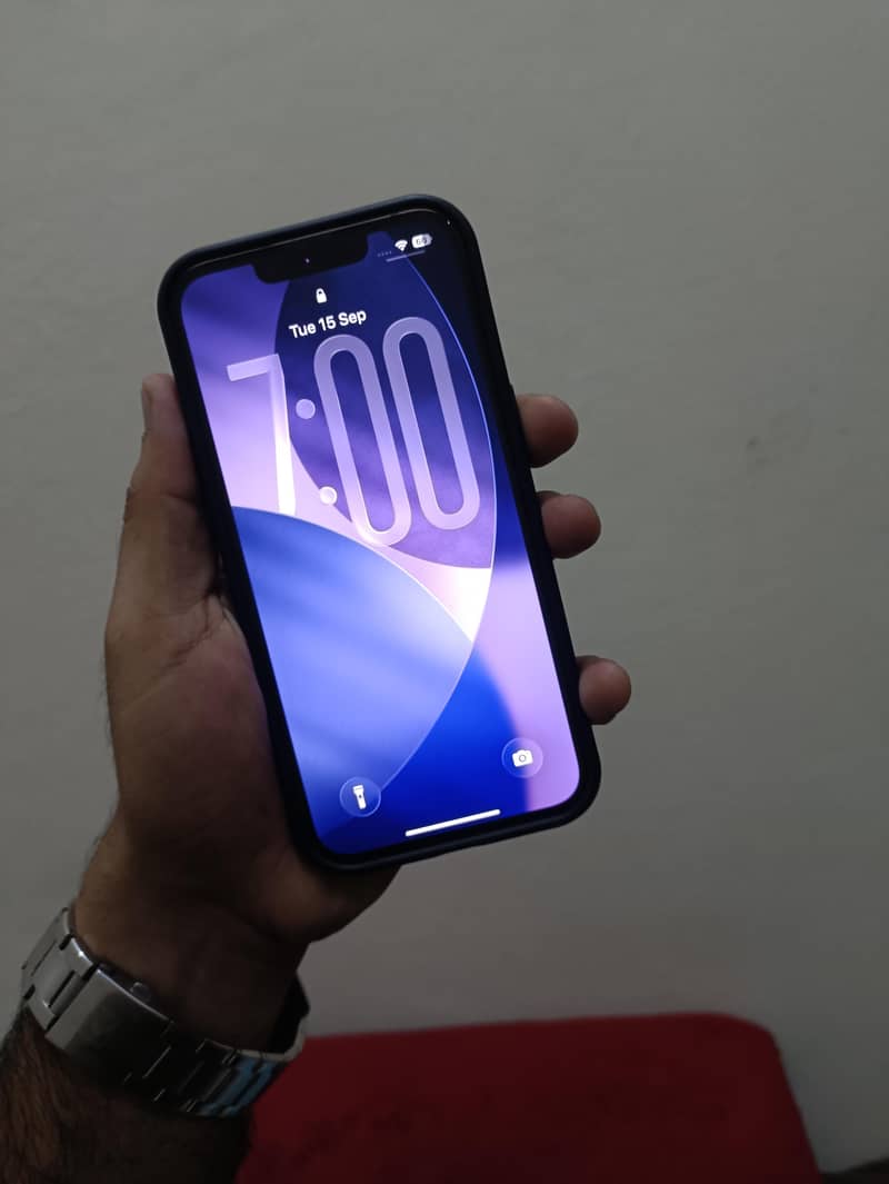 Apple iPhone 13 0