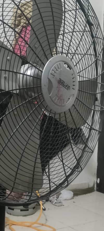 BELVIN FAN
