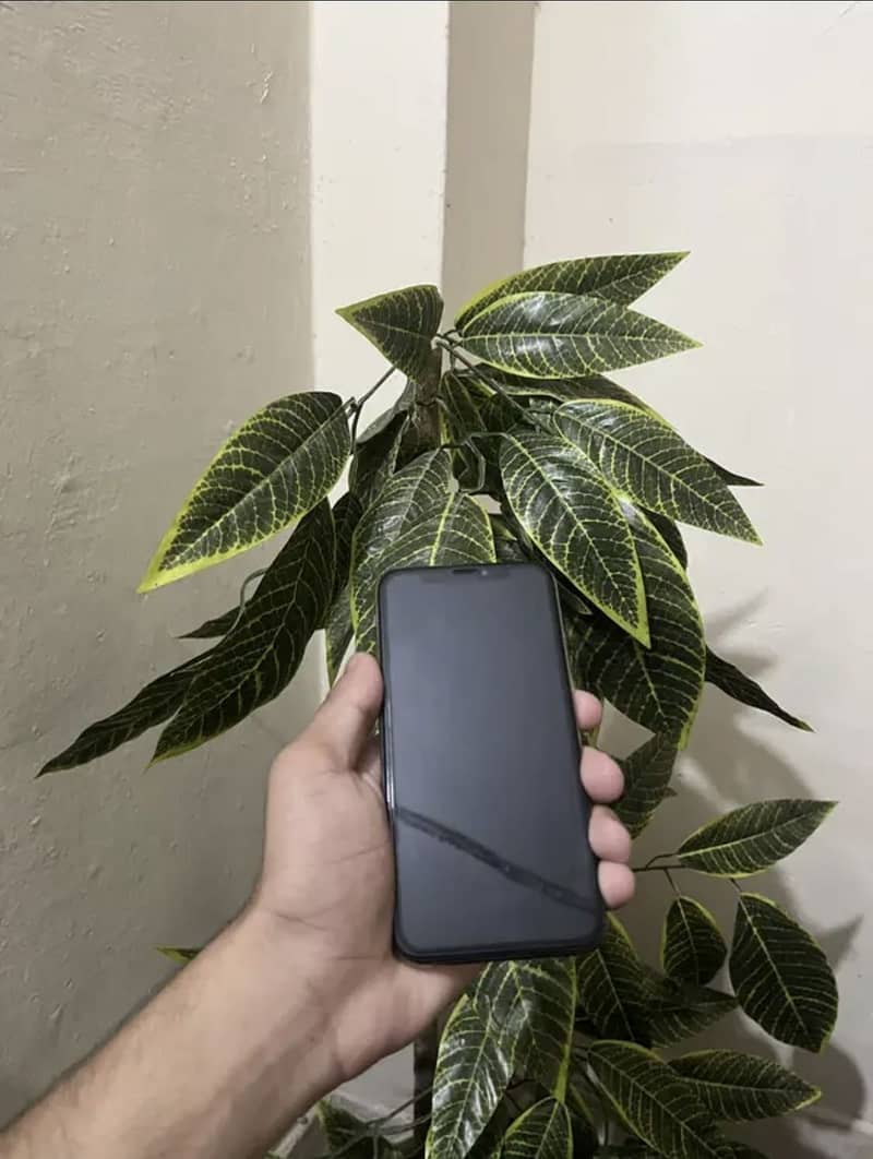Apple iPhone XS 3