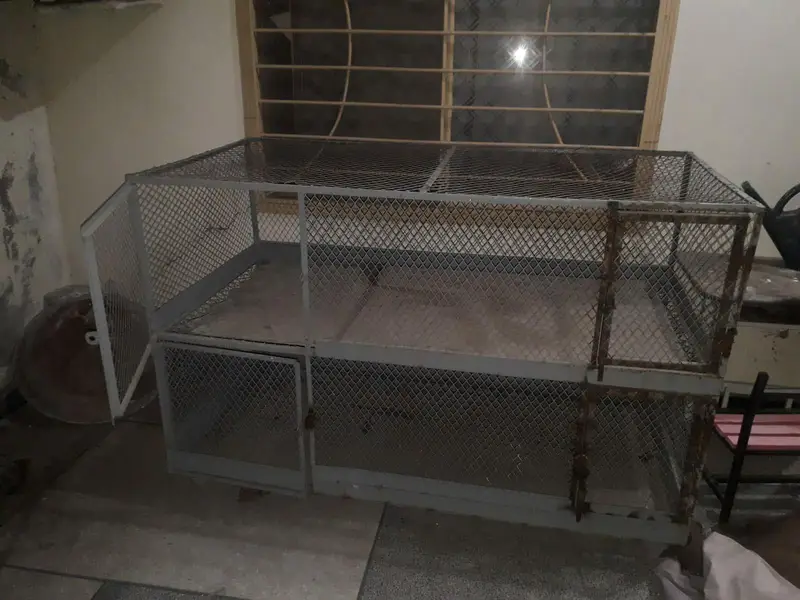 Iron Cage — photo 2