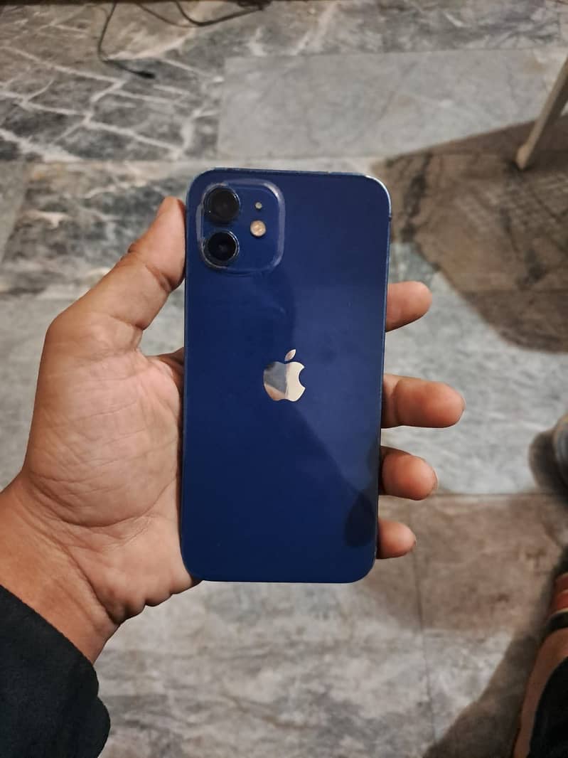 Apple iPhone 12 1