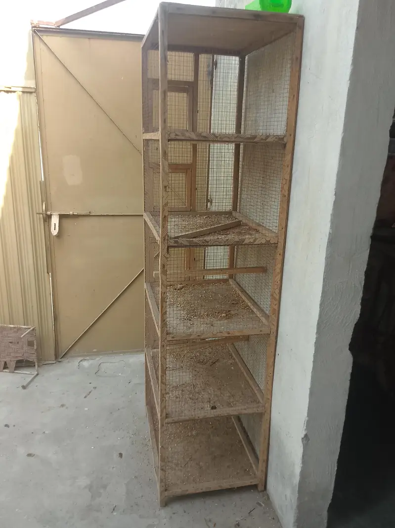 cage for sale urgent 5 box Wala all ok — photo 3