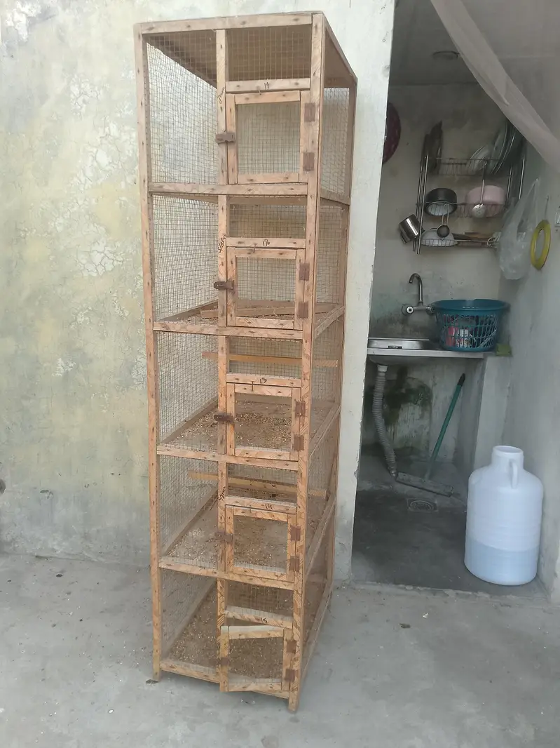 cage for sale urgent 5 box Wala all ok — photo 4