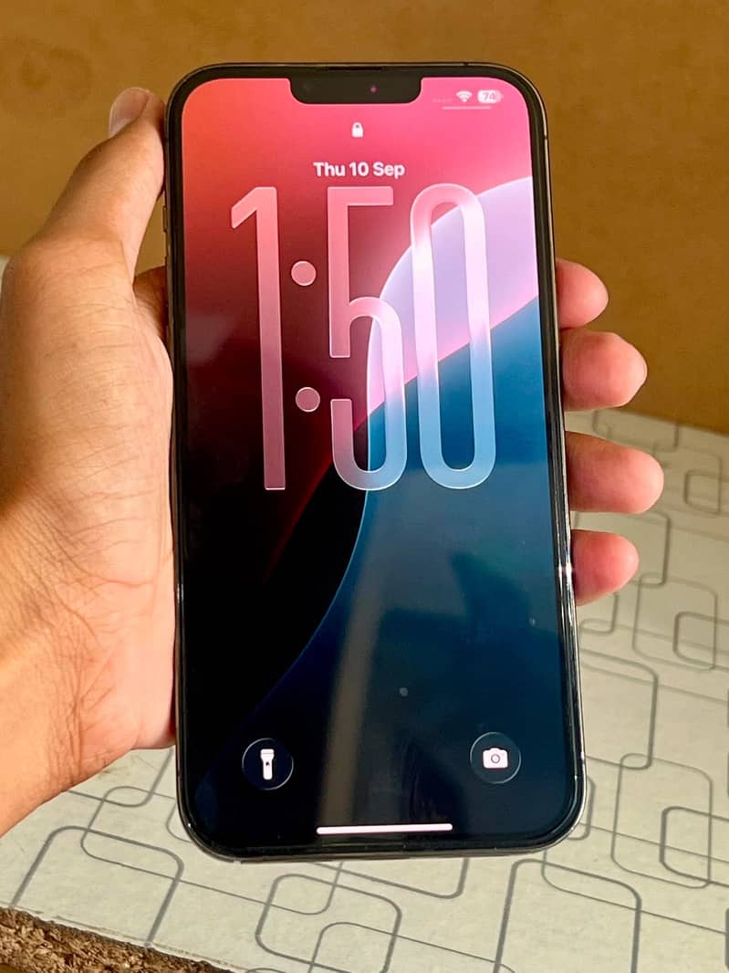 Apple iPhone 13 Pro Max 1