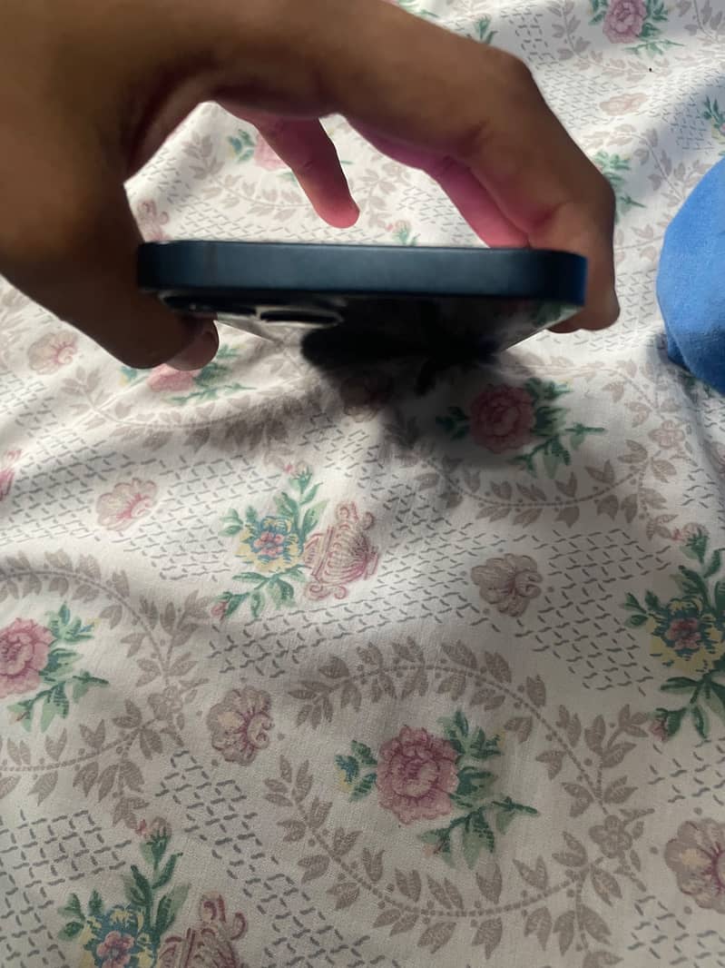 Apple iPhone 13 5