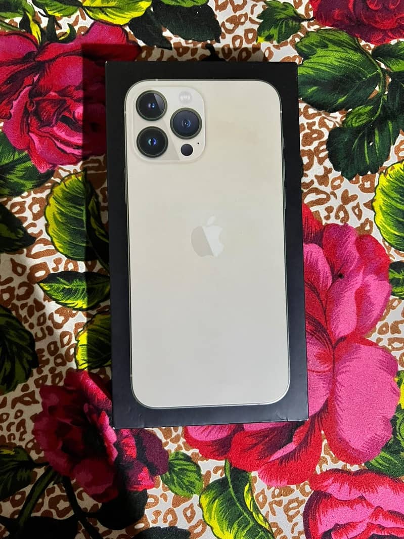 Apple iPhone 13 Pro Max 1
