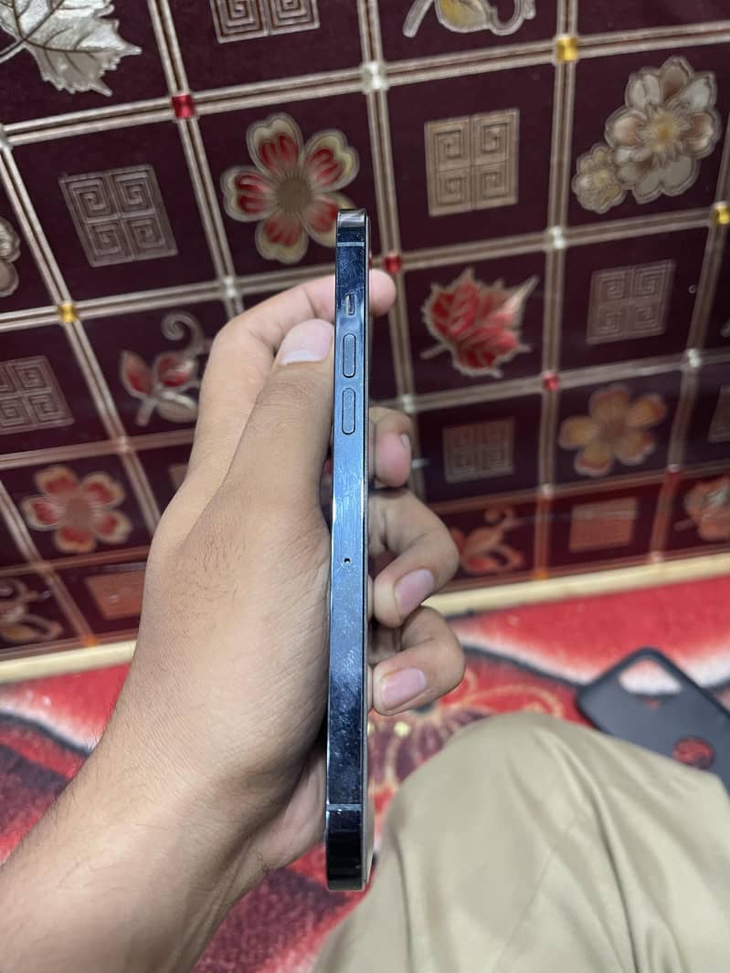 Apple iPhone 12 Pro Max 1
