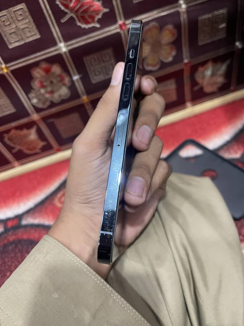 Apple iPhone 12 Pro Max 2