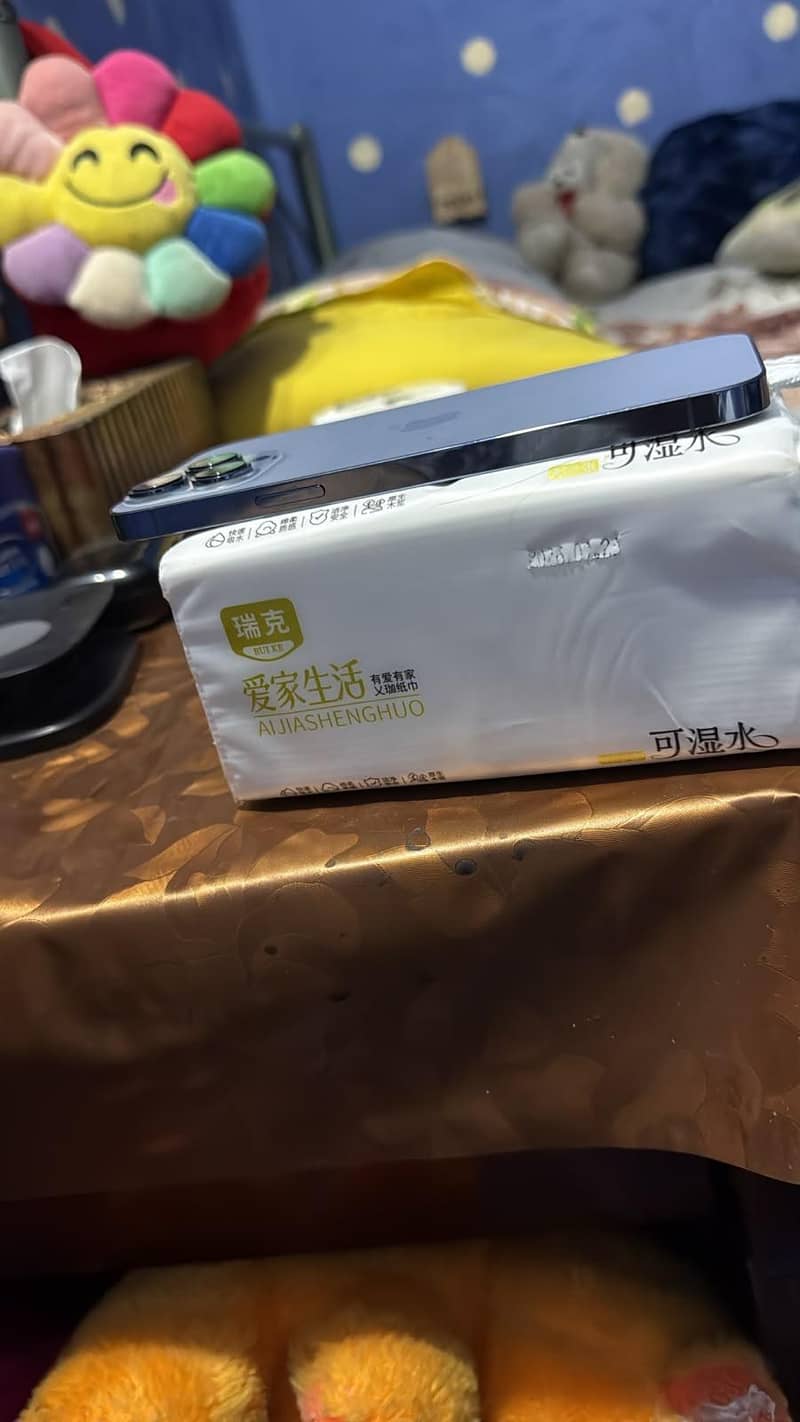 Apple iPhone 13 Pro Max 3