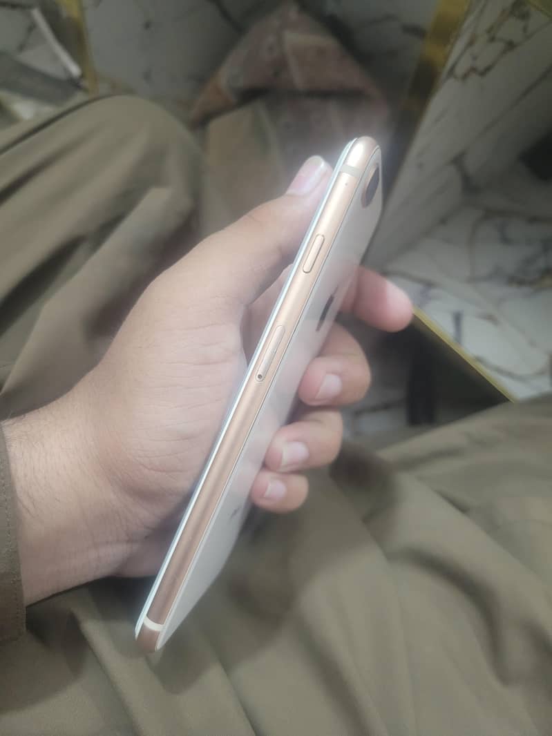 Apple iPhone 8 Plus 2
